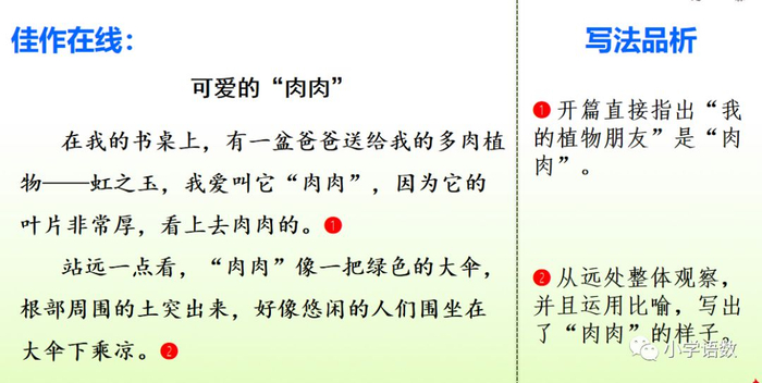 【微课堂】统编语文三年级下册第一单元作文《我的植物朋友》图文解读+写作指导+写作示例