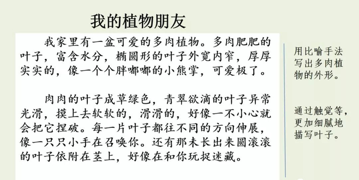 【微课堂】统编语文三年级下册第一单元作文《我的植物朋友》图文解读+写作指导+写作示例