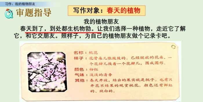 【微课堂】统编语文三年级下册第一单元作文《我的植物朋友》图文解读+写作指导+写作示例