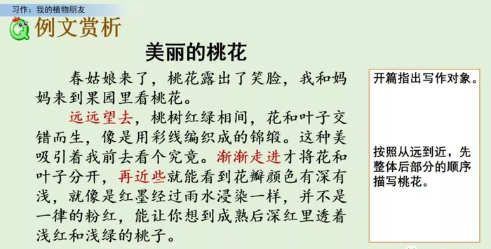 【微课堂】统编语文三年级下册第一单元作文《我的植物朋友》图文解读+写作指导+写作示例