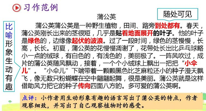 【微课堂】统编语文三年级下册第一单元作文《我的植物朋友》图文解读+写作指导+写作示例