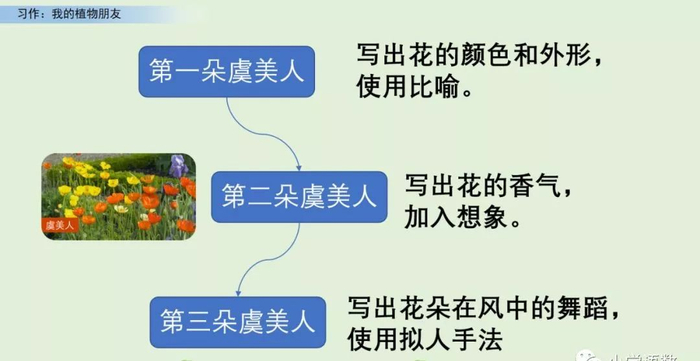 【微课堂】统编语文三年级下册第一单元作文《我的植物朋友》图文解读+写作指导+写作示例