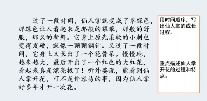 【微课堂】统编语文三年级下册第一单元作文《我的植物朋友》图文解读+写作指导+写作示例