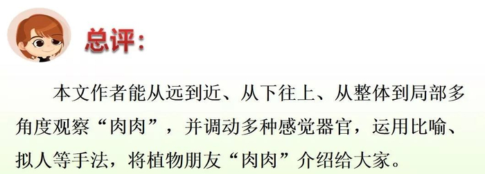 【微课堂】统编语文三年级下册第一单元作文《我的植物朋友》图文解读+写作指导+写作示例
