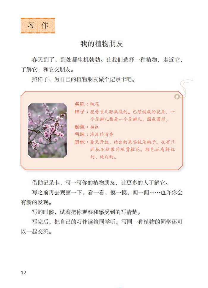 【微课堂】统编语文三年级下册第一单元作文《我的植物朋友》图文解读+写作指导+写作示例