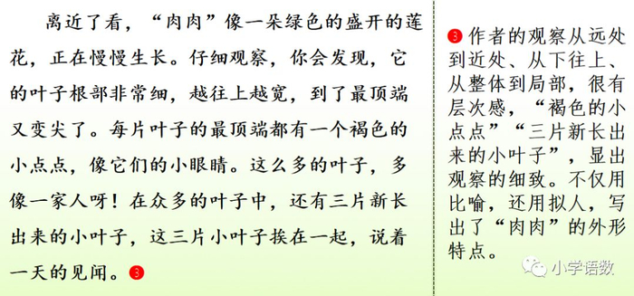 【微课堂】统编语文三年级下册第一单元作文《我的植物朋友》图文解读+写作指导+写作示例