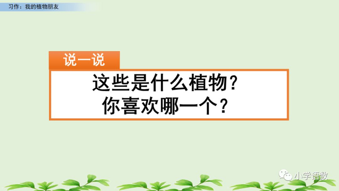 【微课堂】统编语文三年级下册第一单元作文《我的植物朋友》图文解读+写作指导+写作示例