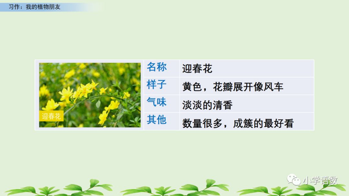【微课堂】统编语文三年级下册第一单元作文《我的植物朋友》图文解读+写作指导+写作示例