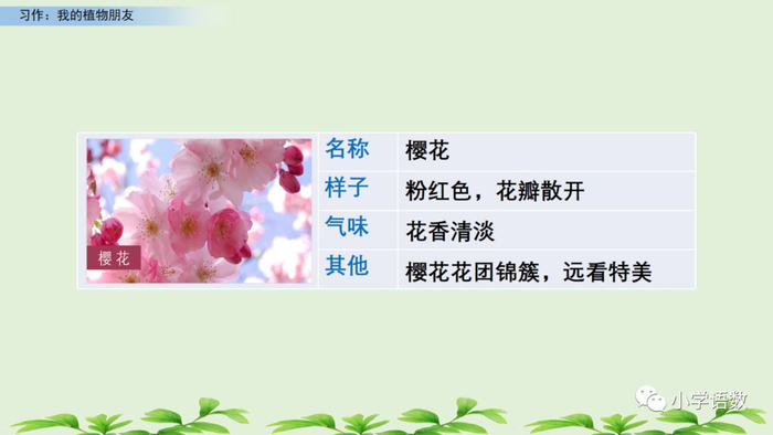 【微课堂】统编语文三年级下册第一单元作文《我的植物朋友》图文解读+写作指导+写作示例
