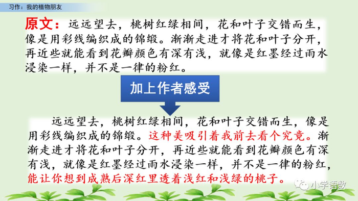 【微课堂】统编语文三年级下册第一单元作文《我的植物朋友》图文解读+写作指导+写作示例