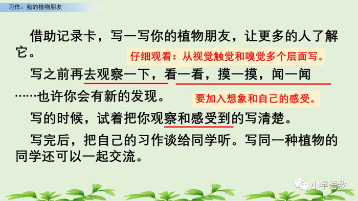 【微课堂】统编语文三年级下册第一单元作文《我的植物朋友》图文解读+写作指导+写作示例