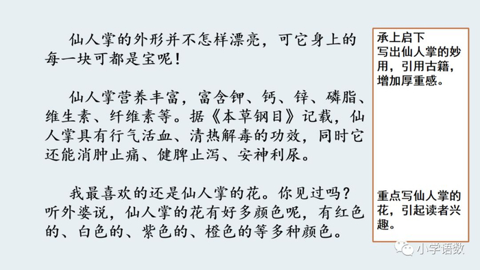 【微课堂】统编语文三年级下册第一单元作文《我的植物朋友》图文解读+写作指导+写作示例