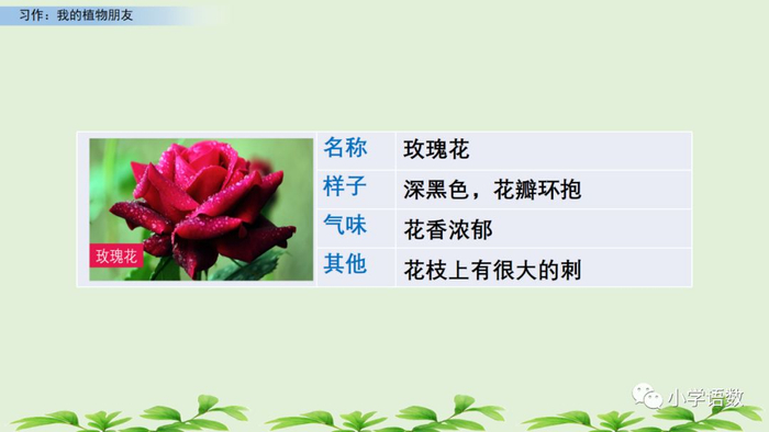 【微课堂】统编语文三年级下册第一单元作文《我的植物朋友》图文解读+写作指导+写作示例