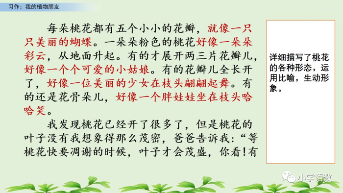【微课堂】统编语文三年级下册第一单元作文《我的植物朋友》图文解读+写作指导+写作示例
