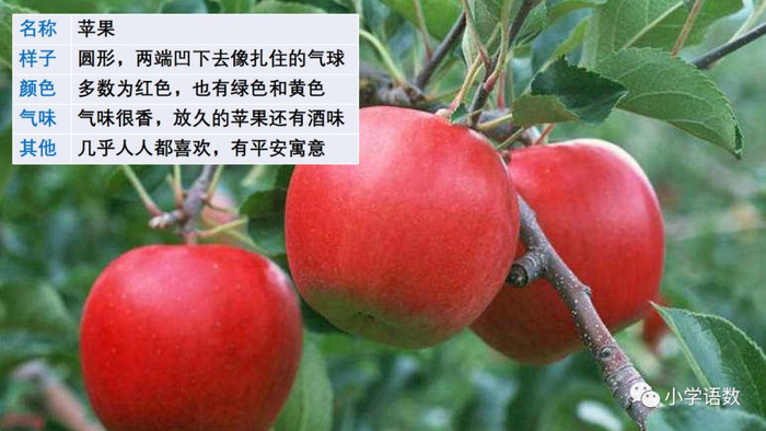 【微课堂】统编语文三年级下册第一单元作文《我的植物朋友》图文解读+写作指导+写作示例