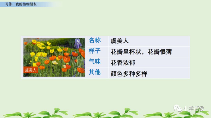 【微课堂】统编语文三年级下册第一单元作文《我的植物朋友》图文解读+写作指导+写作示例