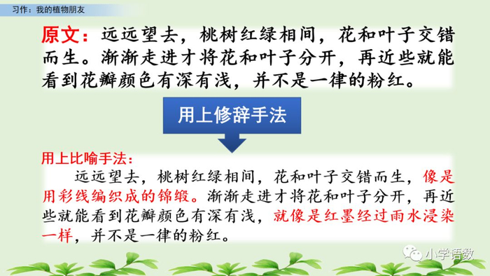 【微课堂】统编语文三年级下册第一单元作文《我的植物朋友》图文解读+写作指导+写作示例