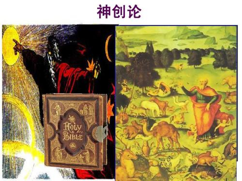 为何基督教等教派就是相信神创论,否认进化论,这是否是迷信?_新浪新闻