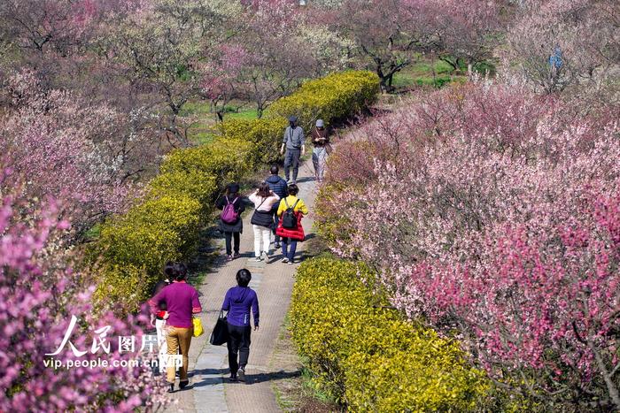 南京钟山风景名胜区有序有限开放