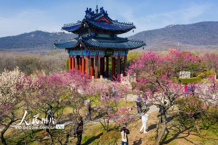 南京钟山风景名胜区有序有限开放