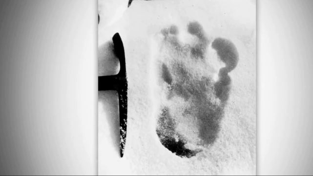 “喜马拉雅雪人”真的存在吗？许多人曾亲眼看到，它竟长这样！