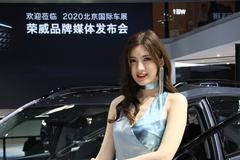有点搞怪有点可爱 北京车展最美车模TOP10
