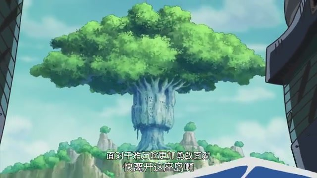 海贼王，五棵有历史的树，一棵做了草帽海贼团的船，一棵至今是迷