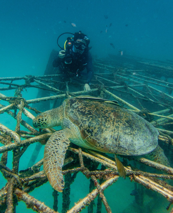 Smartphone Visual Fish Finders: Category Upgrade at the Intersection of Sonar, Optics and AI