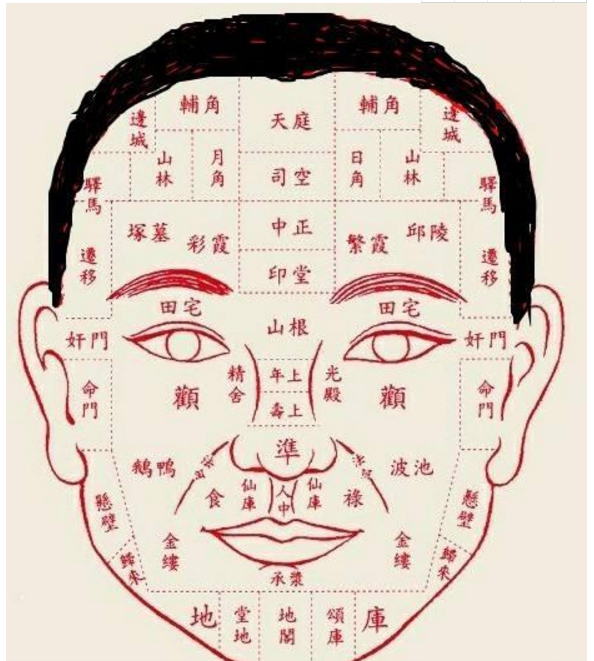 面相:相寿——什么样的人长寿?