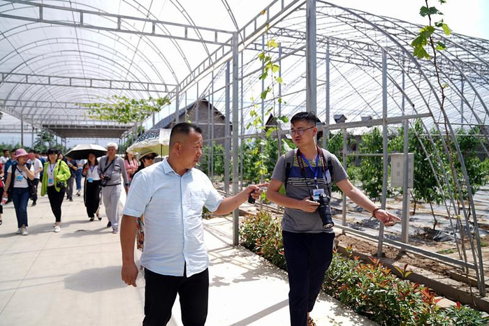 探访陕西杨凌现代农庄,感受农业硅谷的魅力