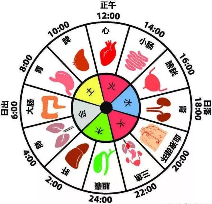 为什么你每晚都在同一时间醒来?