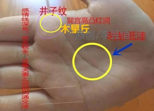 手相：巽宫高凸红润，井字纹和十字纹出现，一生不受穷和苦！