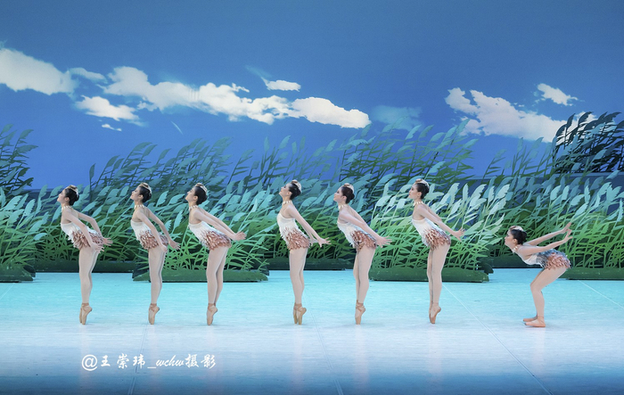 中央芭蕾舞团演出中国芭蕾舞剧“鹤魂”|中央芭蕾舞团|芭蕾舞剧|鹤_新浪新闻