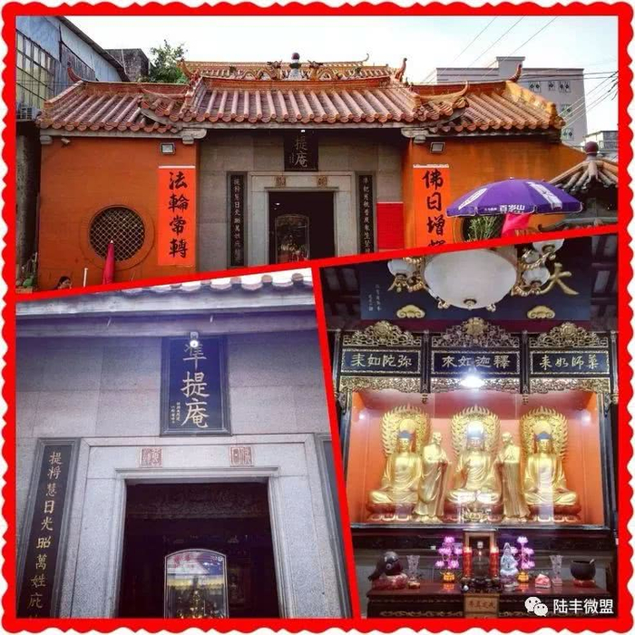 陆丰市东海镇掠影