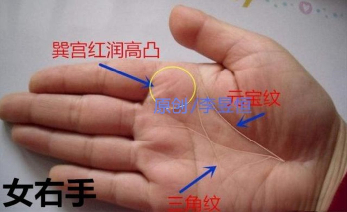 手相：巽宫高凸红润，井字纹和十字纹出现，一生不受穷和苦！