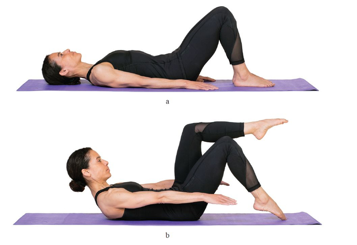 起始姿势：从腹肌支撑式起始。