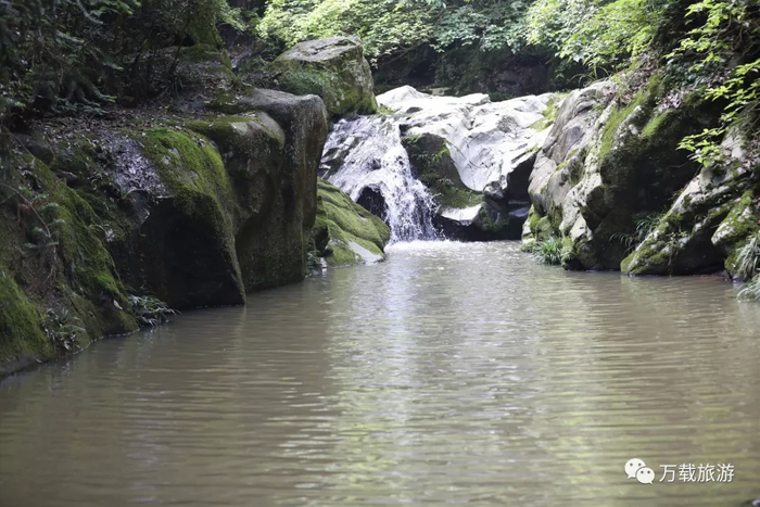 航拍万载白水近1000亩百合花竞相开放太震撼了