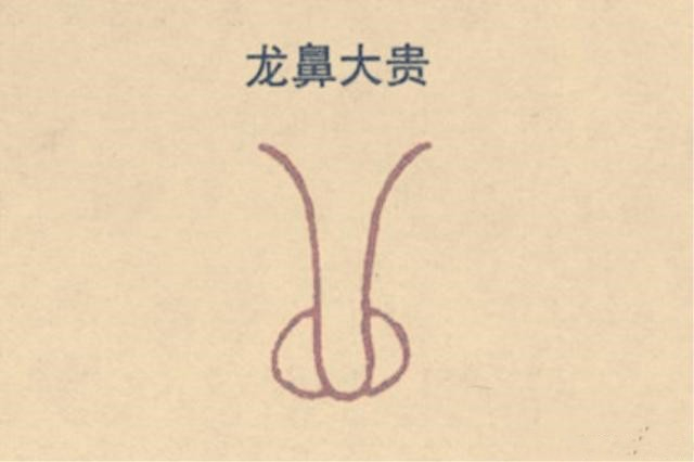 面相5种招财富贵鼻子，早晚必发！