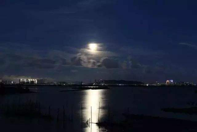 星垂平野阔,月涌大江流。____杜甫晚安