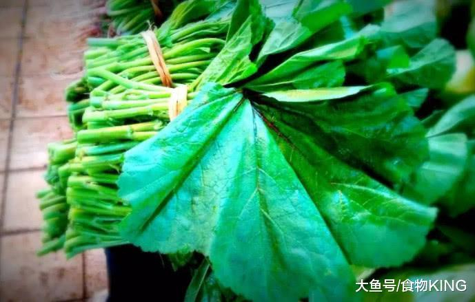 家伙|野菜|油葵_新浪新闻