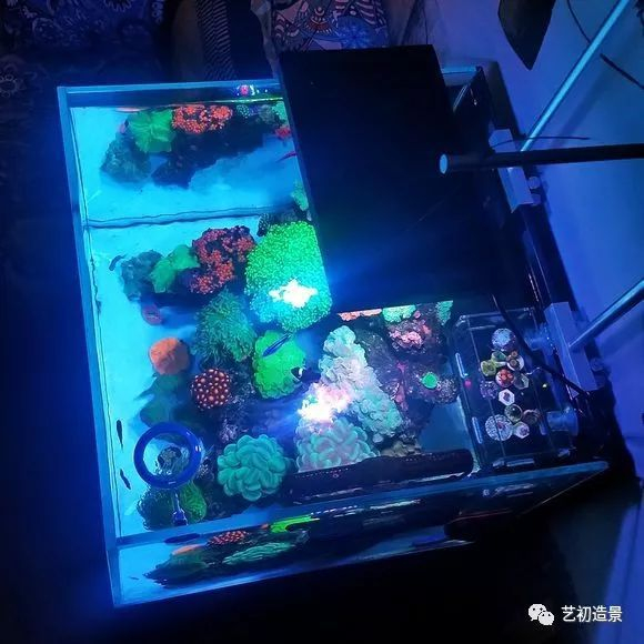 海缸小缸造景欣赏很美