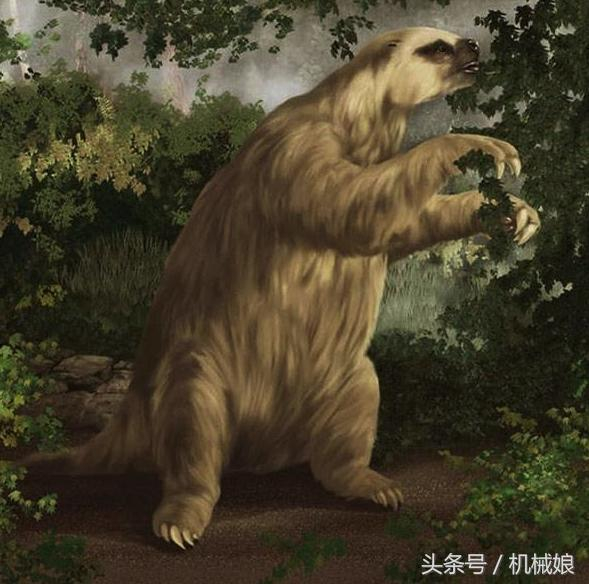 史前巨怪大地懒的体型堪比非洲象，是恐龙时代后最厉害的哺乳动物