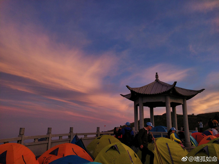 凡心所向,素履所往。生如逆旅,一苇以航