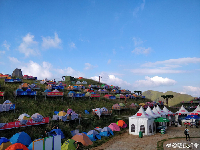凡心所向,素履所往。生如逆旅,一苇以航