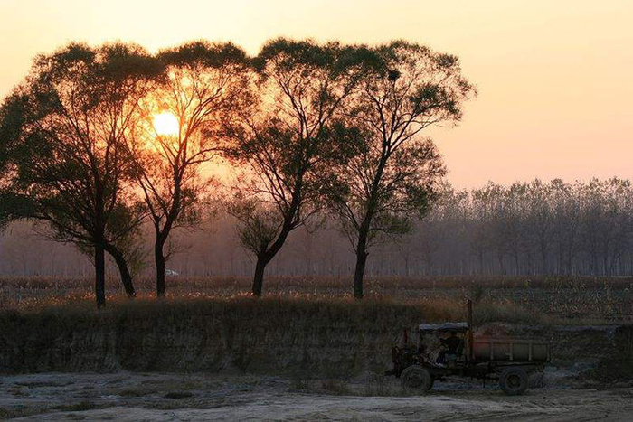 文安专业seo优化