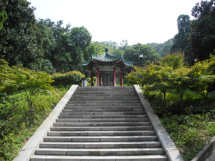清明祭英烈：他叫张大飞，是飞虎队成员，牺牲前这样感谢“妈妈”|巨流河|张大飞|齐邦媛|飞虎队|抗战_新浪新闻