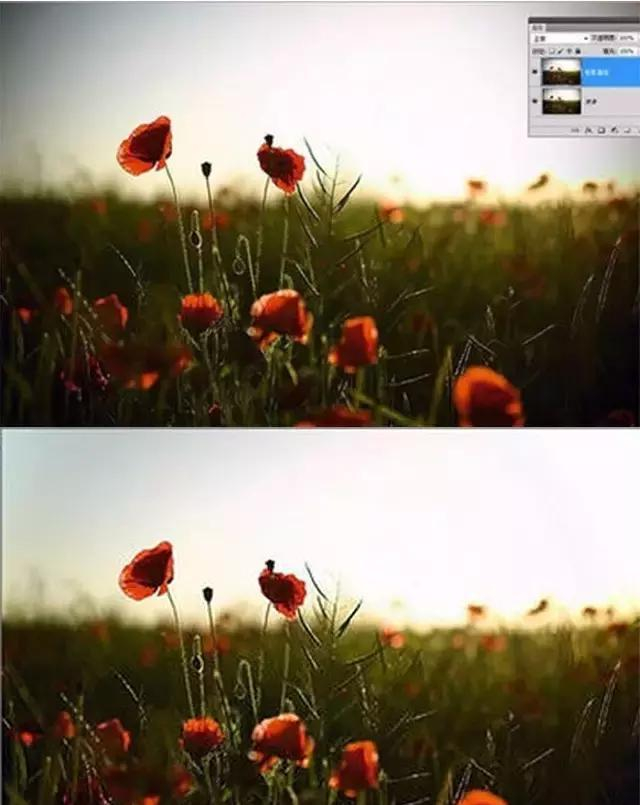 城市暗角:百元生存线下的边缘人群生态观察