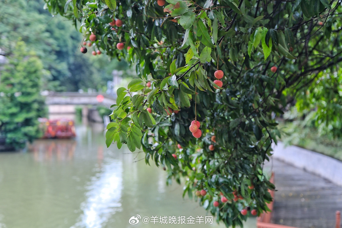 早安,生活的趣味藏于日常爱好与理想奋斗