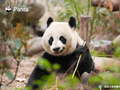 清明假期结束网友发文怀念
