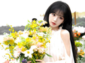 赵丽颖田曦薇等女星夏日鲜花合影引热议